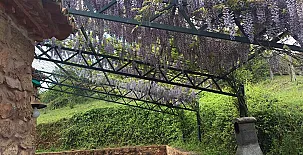 Finca el Tornero 0027