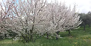 Finca el Tornero 0035