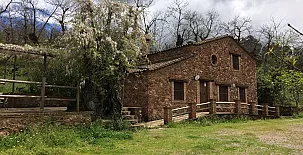 Finca el Tornero 0037