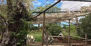 Finca el Tornero 0038