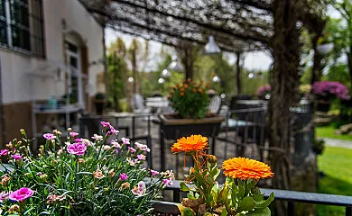 Almazara de San Pedro en Eljas (Cáceres) - Foto 10