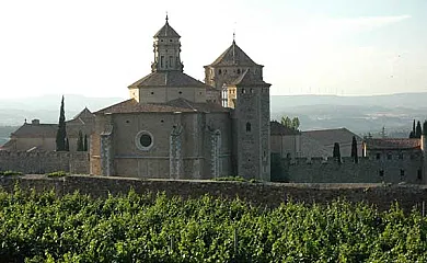 Rural Horizons en la Ruta del Cister en Fores (Tarragona) - Foto 14