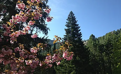 La Cabaña de San Juan en Fuertescusa (Cuenca) - Foto 11