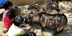 Encinar de Escardiel 003