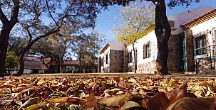 Encinar de Escardiel 007