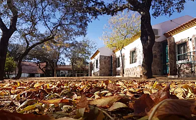 Encinar de Escardiel en Castilblanco de los Arroyos (Sevilla) - Foto 7