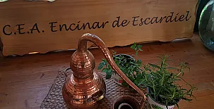 Encinar de Escardiel 0010