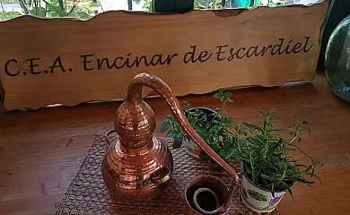 Encinar de Escardiel en Castilblanco de los Arroyos (Sevilla) - Foto 10