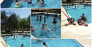 Encinar de Escardiel 0015