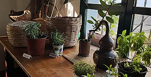 Encinar de Escardiel 0021