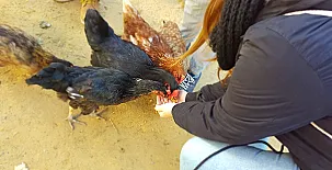 Encinar de Escardiel 0022