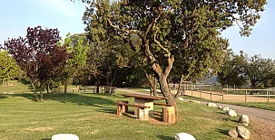 Les Cases del Pla de Montpol 004