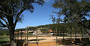 Les Cases del Pla de Montpol 005