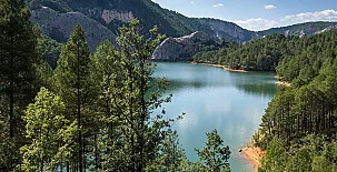 Cabañas  Llano de los Conejos 0038