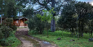 Cabañas  Llano de los Conejos 0047