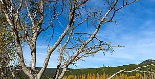 Cabañas  Llano de los Conejos 0051