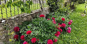 Casa Rural Engracita 002