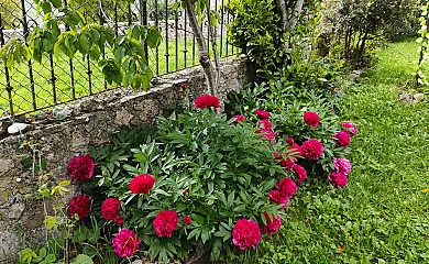 Casa Rural Engracita en Somiedo (Asturias) - Foto 2