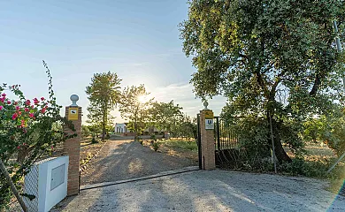 La Casa de Pepito del Villar en Fuente Palmera (Córdoba) - Foto 2