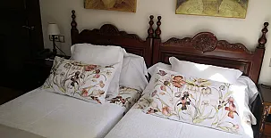 Apartamentos La Pontiga 009