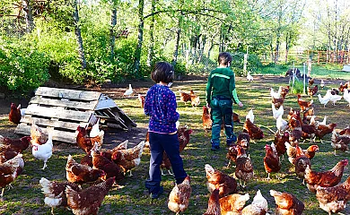 Eco Urbión en Duruelo de la Sierra (Soria) - Foto 3