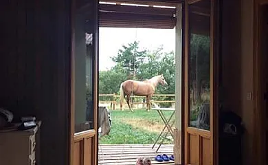 Eco Urbión en Duruelo de la Sierra (Soria) - Foto 5