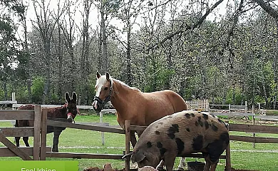 Eco Urbión en Duruelo de la Sierra (Soria) - Foto 6