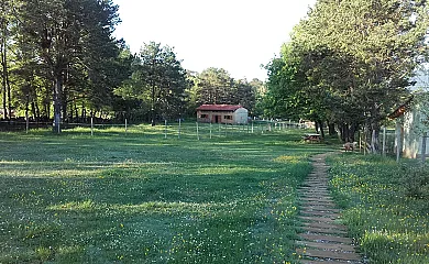 Eco Urbión en Duruelo de la Sierra (Soria) - Foto 8