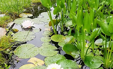 La Mallada en Ozuela (León) - Foto 9