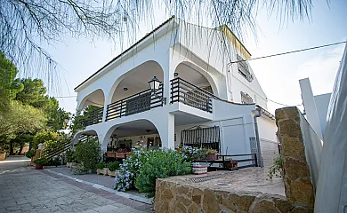 VillaTorreta en Elda (Alicante) - Foto 6