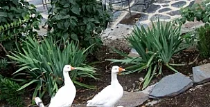 Apartamentos Rurales Las Cabezadas 0018