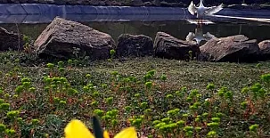 Casa Rural Can Xisquet 0022