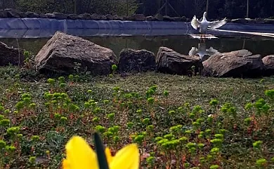 Casa Rural Can Xisquet en Viladrau (Girona) - Foto 22