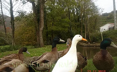 Amaiurko Errota en Amaiur (Navarra) - Foto 9