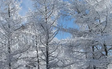 Amaiurko Errota en Amaiur (Navarra) - Foto 21