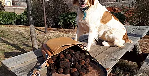 La Casa de la Estación 005