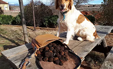 La Casa de la Estación en Estación Mora de Rubielos (Teruel) - Foto 5