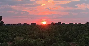 Casa Rural La Navarra Vieja 009