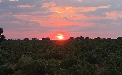 Casa Rural La Navarra Vieja en Villarrobledo (Albacete) - Foto 9