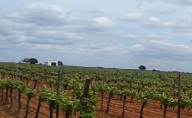 Casa Rural La Navarra Vieja en Villarrobledo (Albacete) - Foto 12