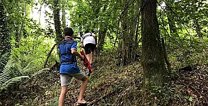 Casa Bosque Albite 0027