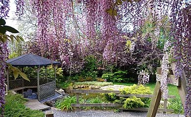 El Pedrueco Turismo Rural en Nava (Asturias) - Foto 6