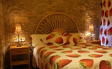 Can Gasol en Guialmons (Tarragona) - Foto 16