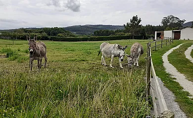Apartamentos Bouso en Ribadeo (Lugo) - Foto 16