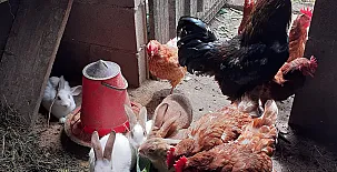 Apartamentos Bouso 0017