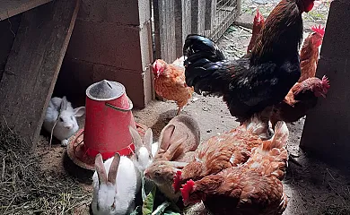 Apartamentos Bouso en Ribadeo (Lugo) - Foto 17