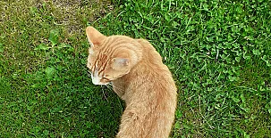 Apartamentos Bouso 0018