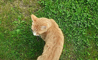 Apartamentos Bouso en Ribadeo (Lugo) - Foto 18