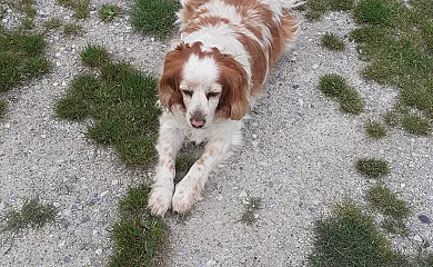 Apartamentos Bouso en Ribadeo (Lugo) - Foto 19
