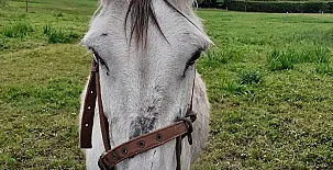 Apartamentos Bouso 0020